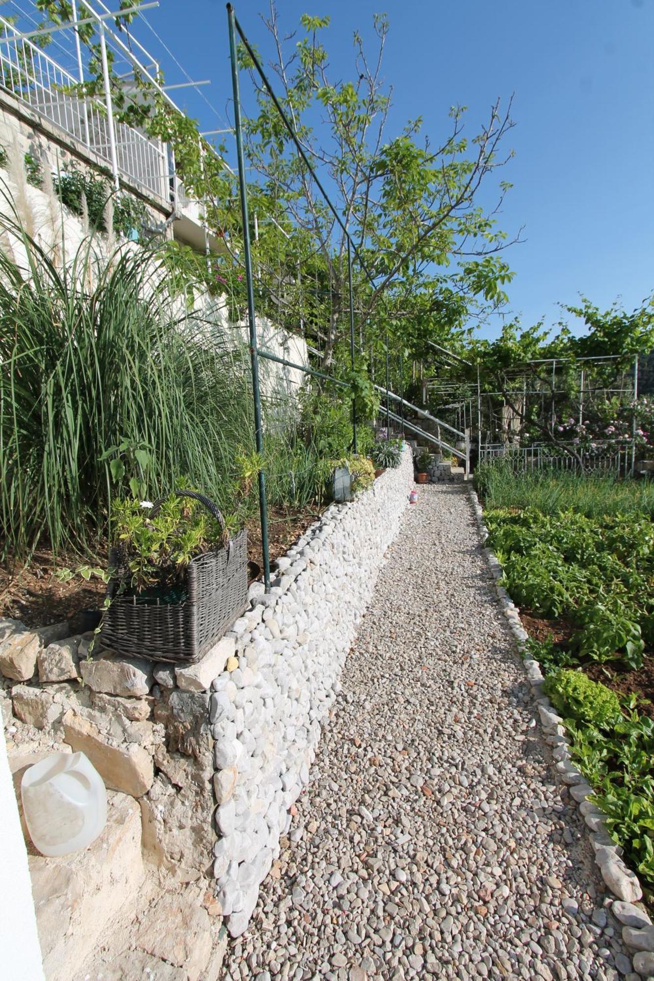 Apartments Cervelin Lopud Εξωτερικό φωτογραφία