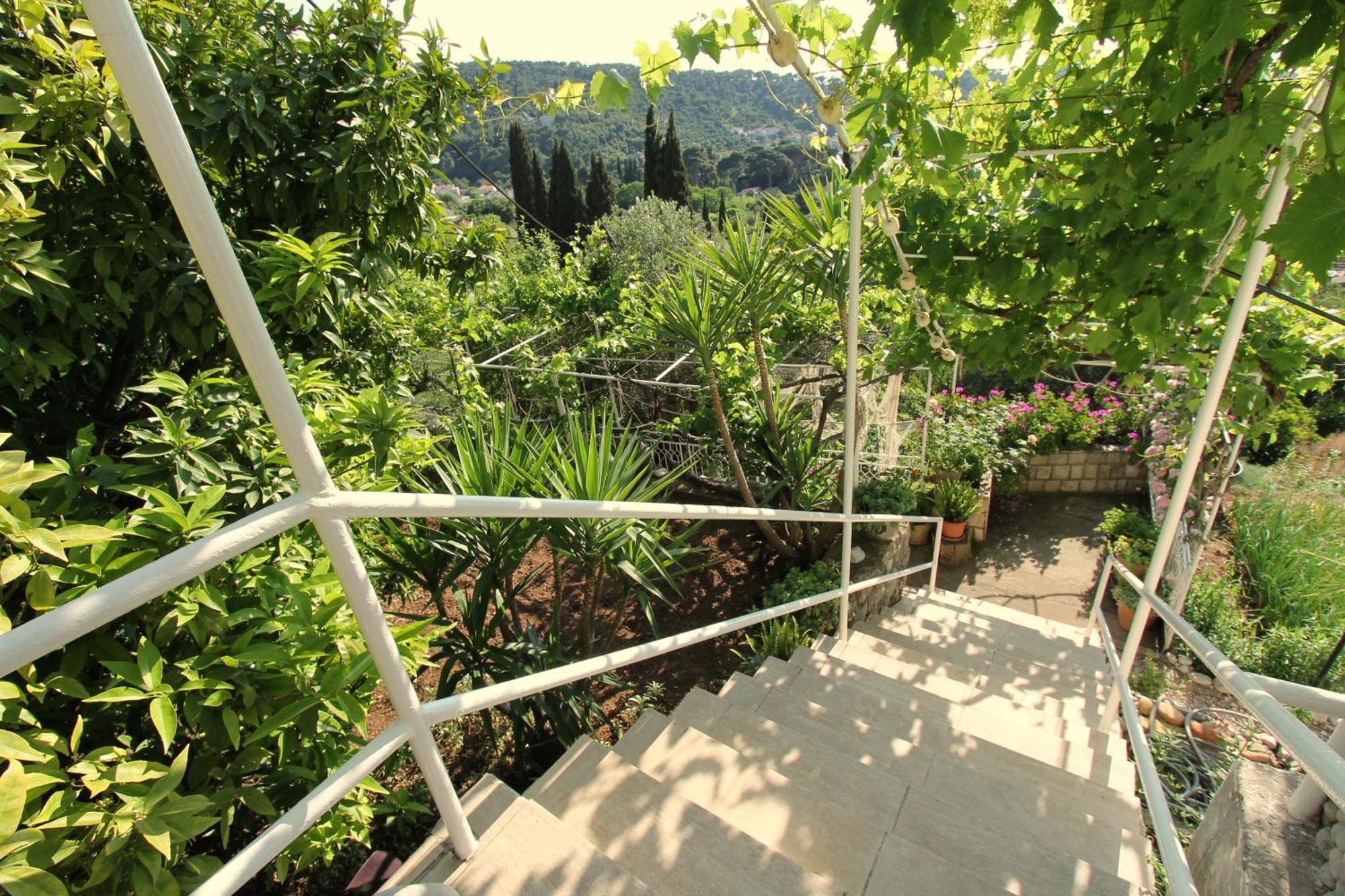 Apartments Cervelin Lopud Εξωτερικό φωτογραφία