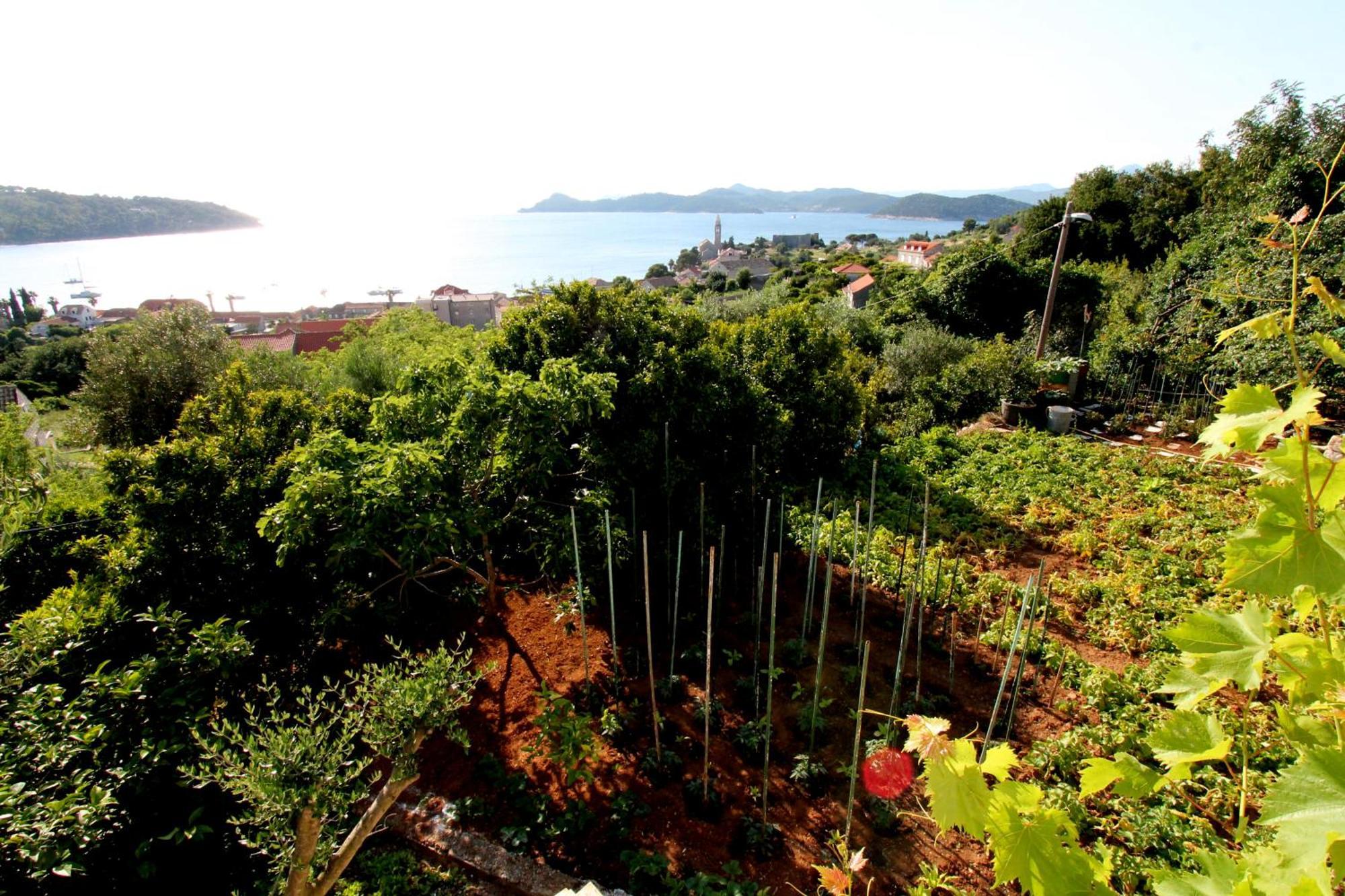 Apartments Cervelin Lopud Εξωτερικό φωτογραφία