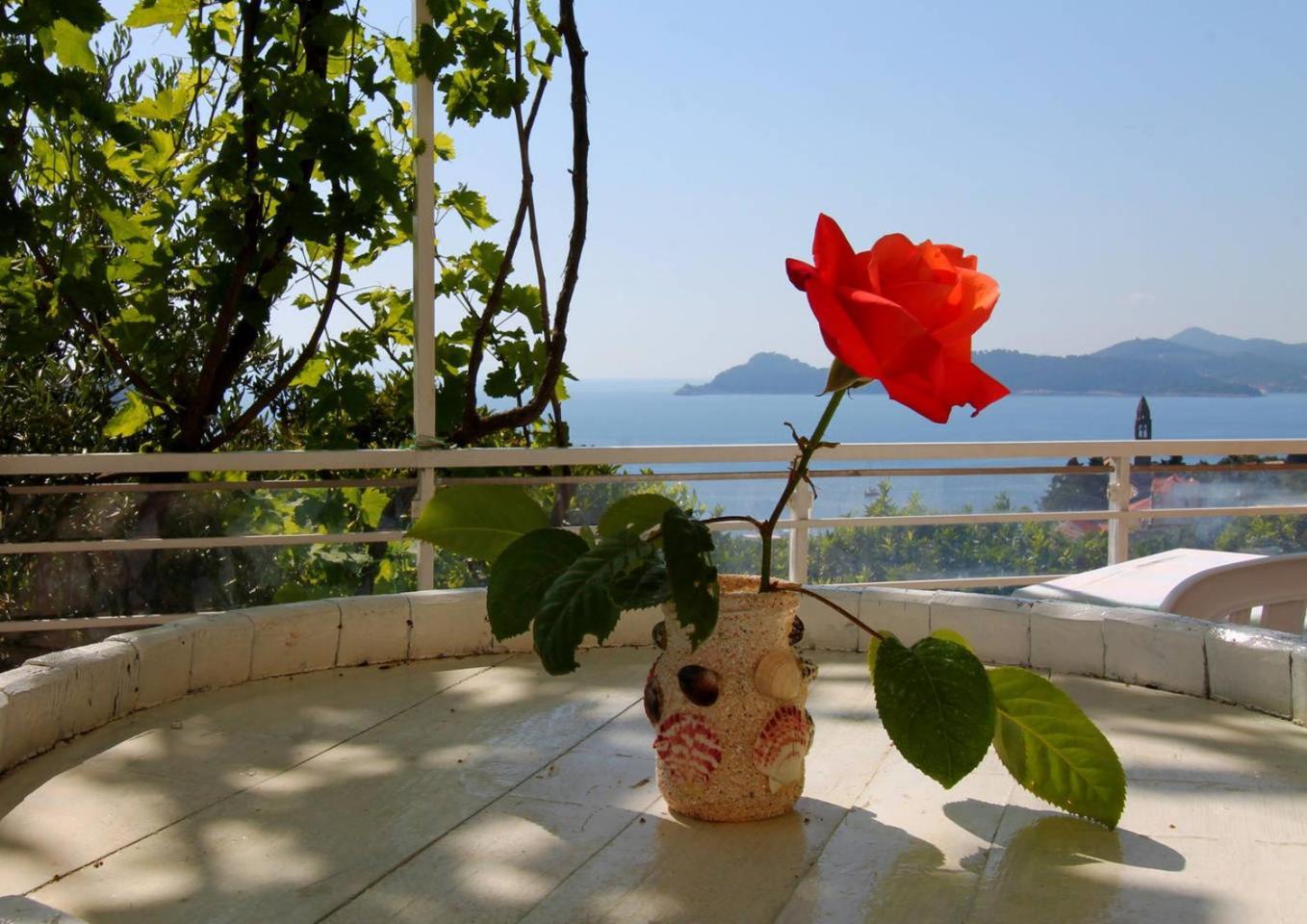Apartments Cervelin Lopud Εξωτερικό φωτογραφία