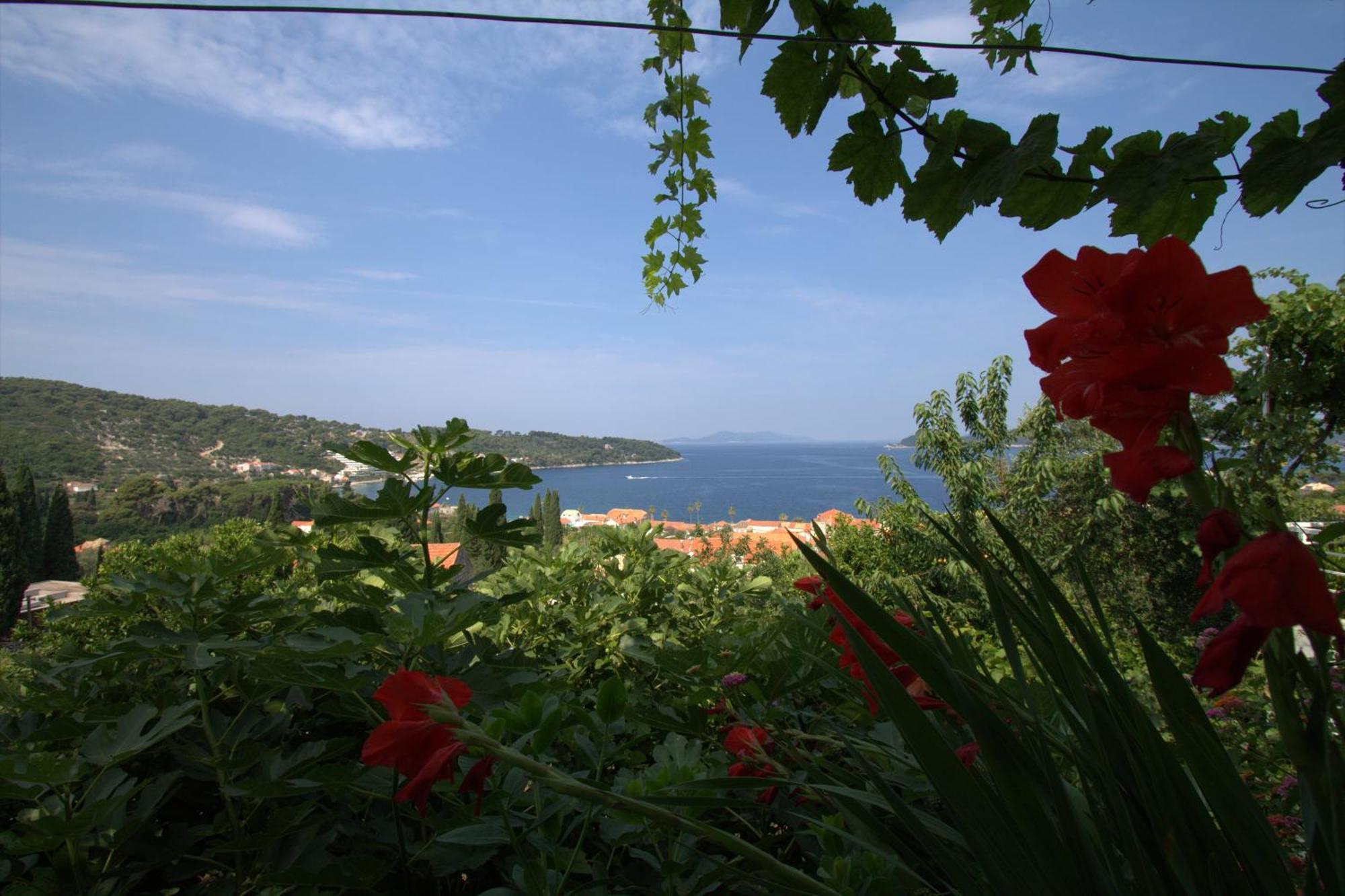 Apartments Cervelin Lopud Εξωτερικό φωτογραφία