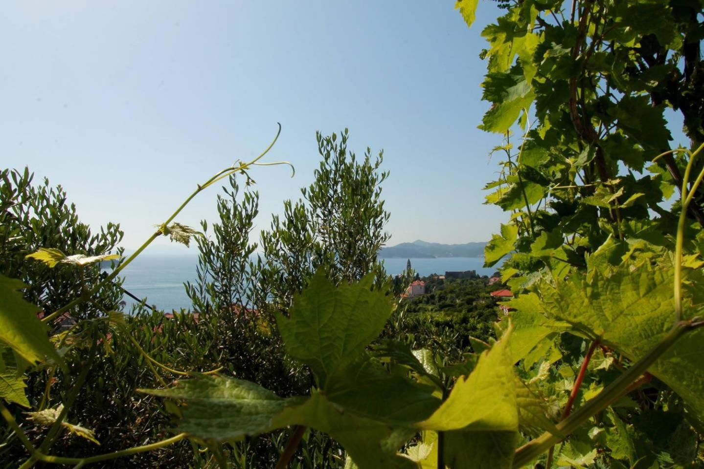 Apartments Cervelin Lopud Εξωτερικό φωτογραφία
