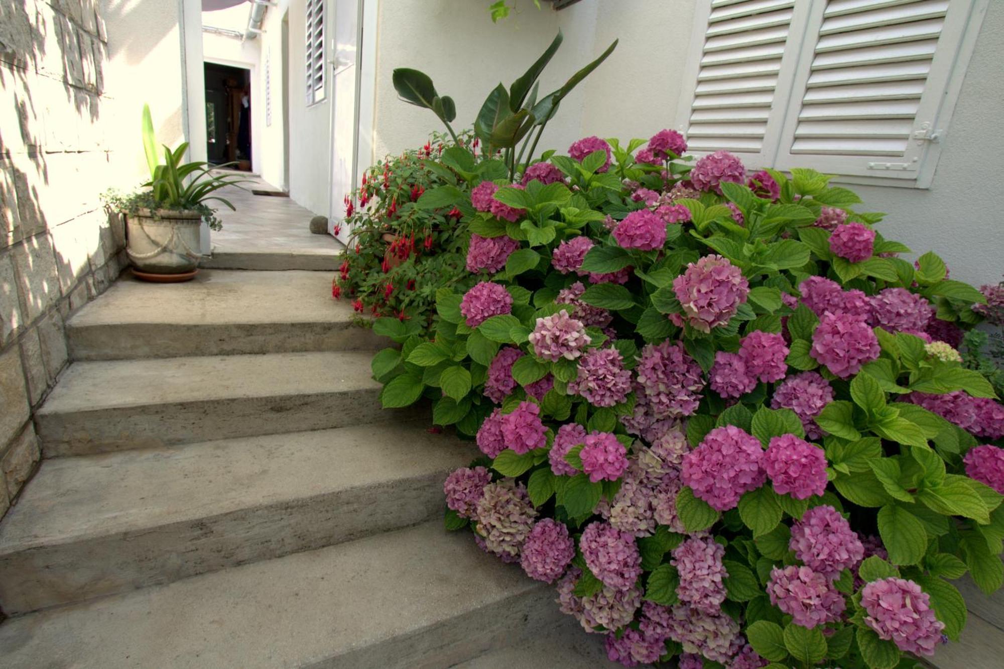 Apartments Cervelin Lopud Δωμάτιο φωτογραφία